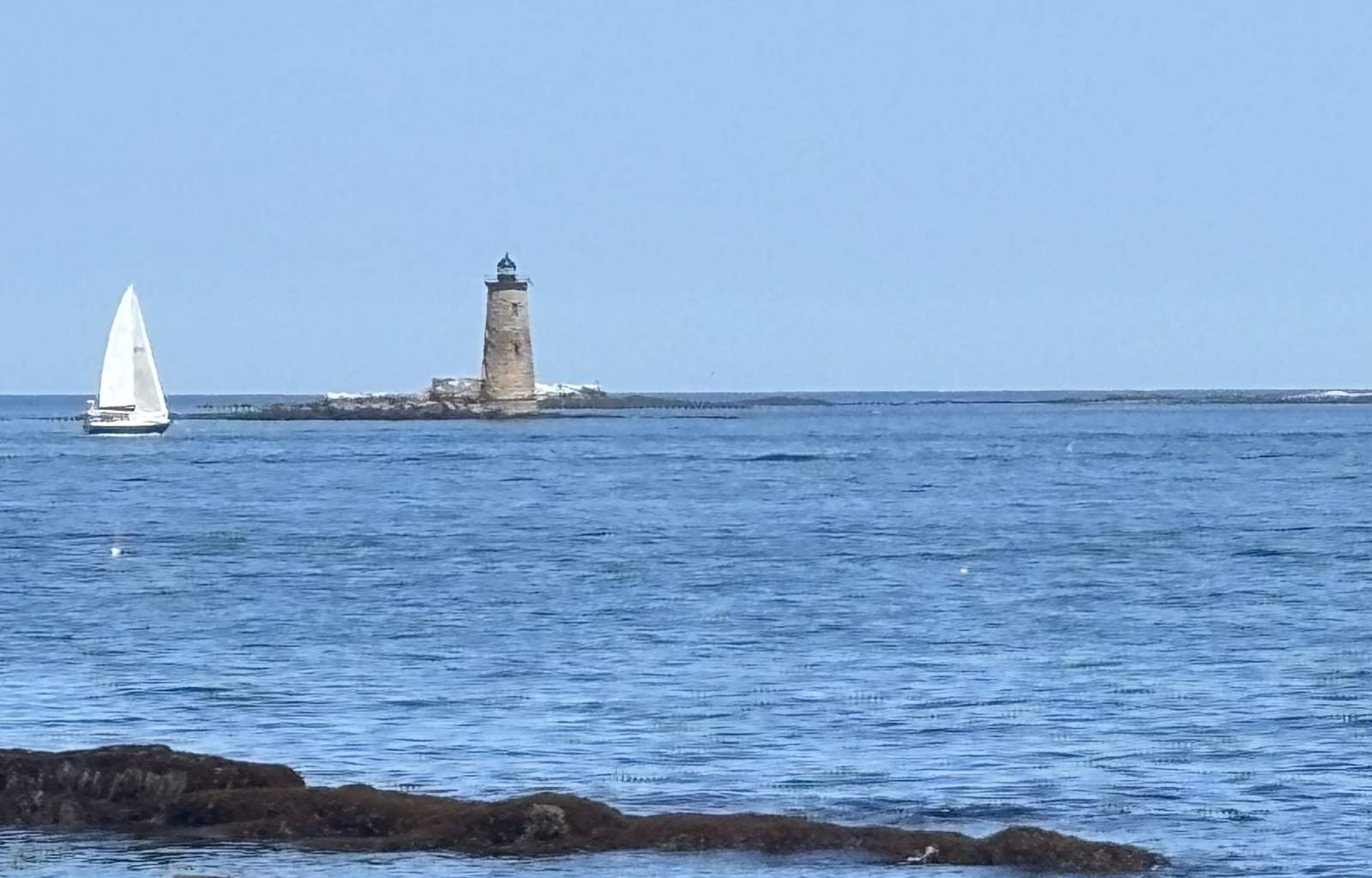 Odiorne Point shoreline